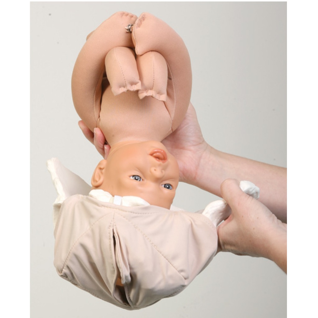 Modèle de démonstration de l'accouchement (Bassin féminin avec la